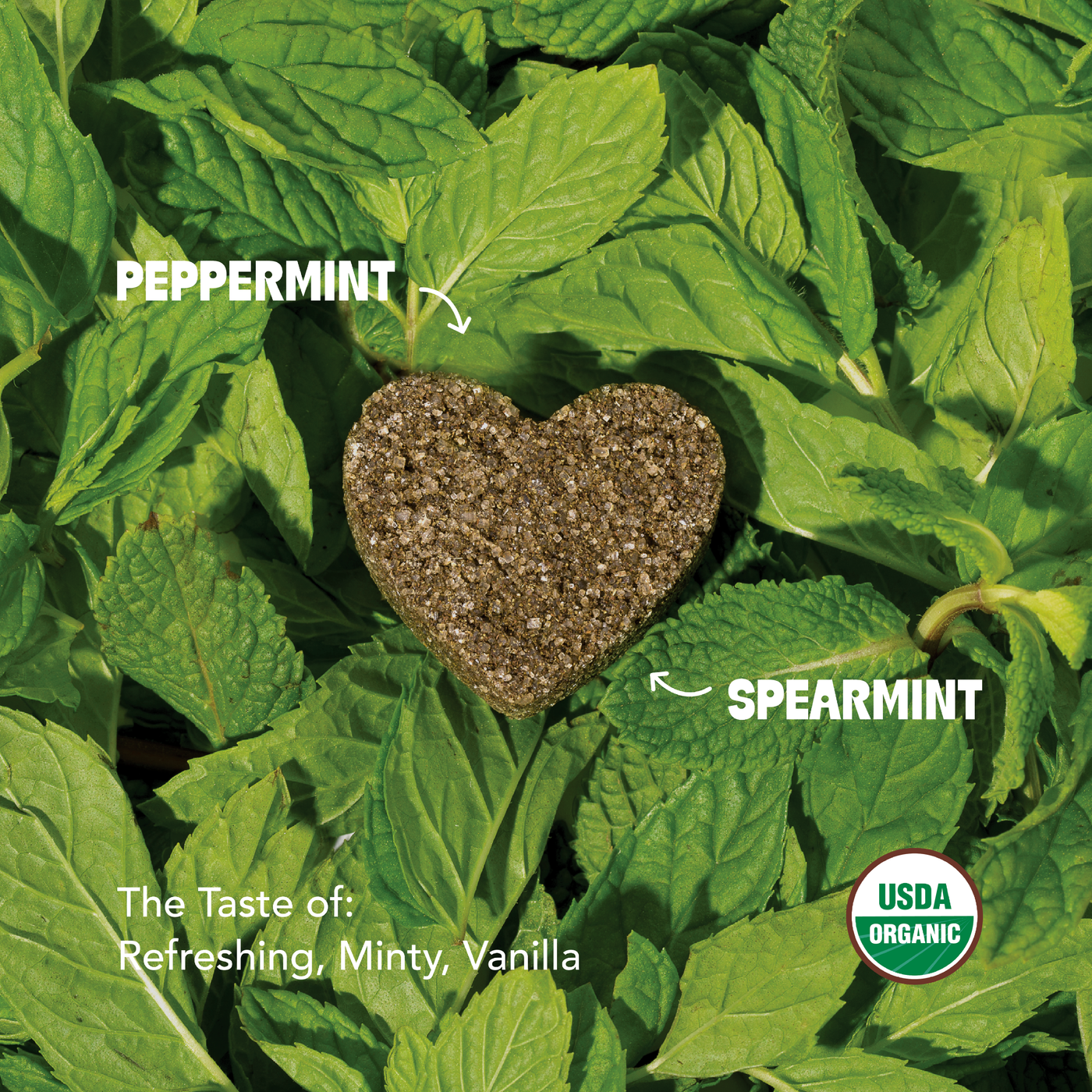 Peppermint Tea Box